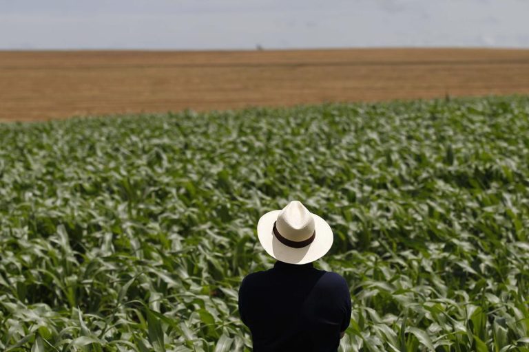 Como o conflito no Irã afeta o agro no Brasil